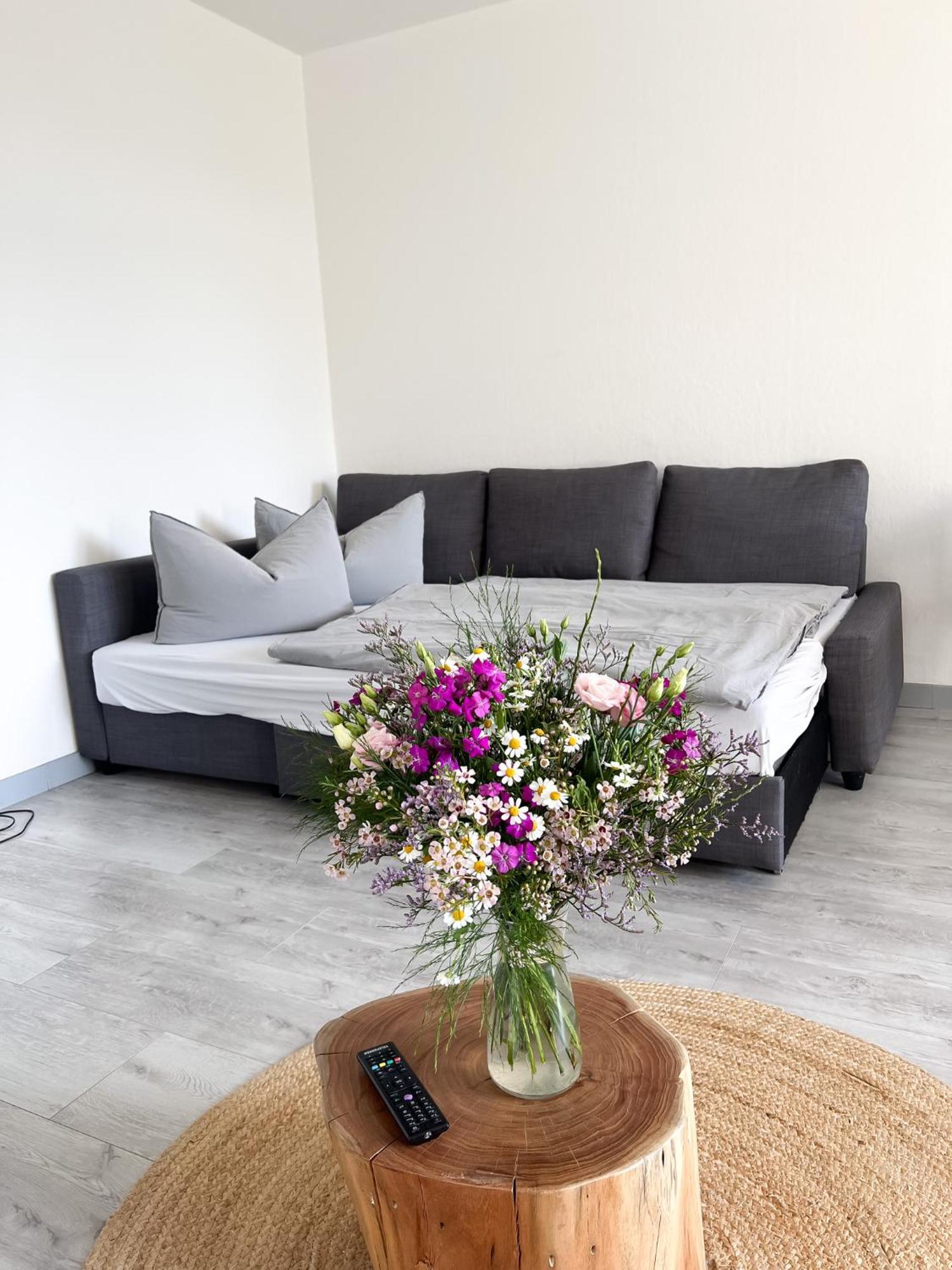 Apartment Suennanbeter Mit Pool Fuer 2-4 Personen ดาเมอ ภายนอก รูปภาพ